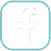 ico facebook
